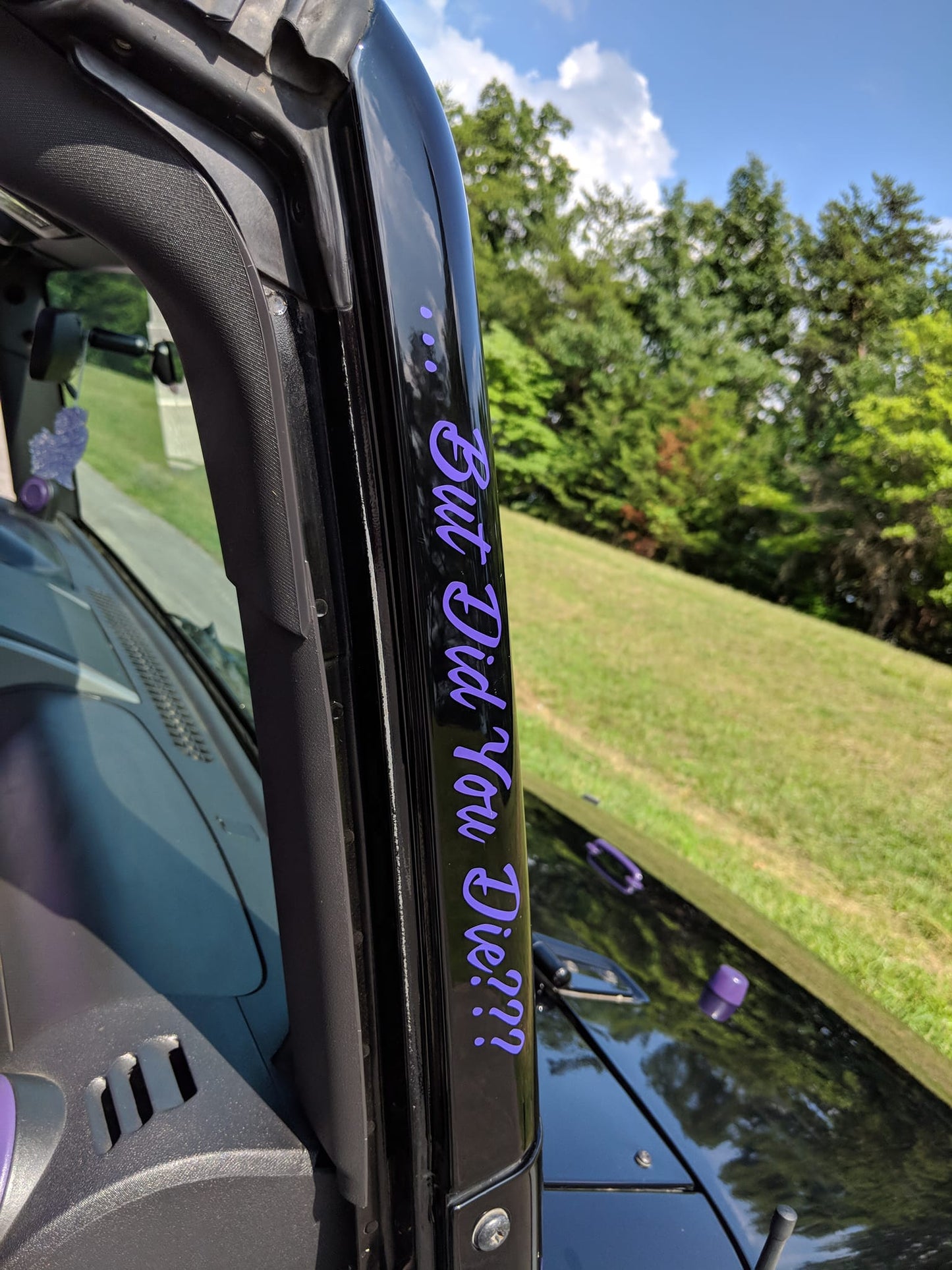 But Did You Die Decal