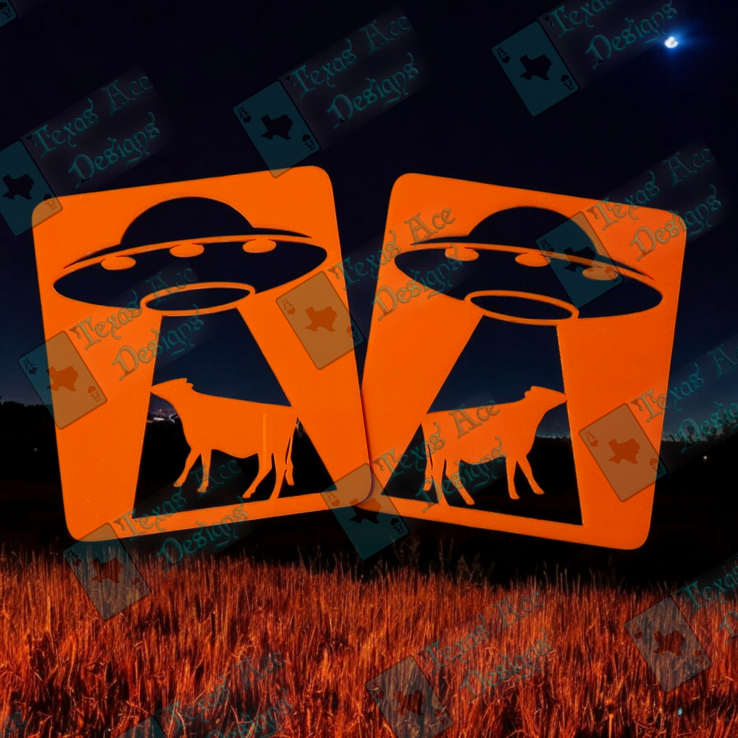 Custom Design Tail Light Covers, Set