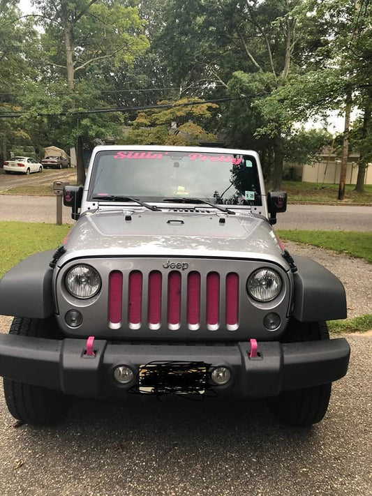 Solid Pink Grille Insert