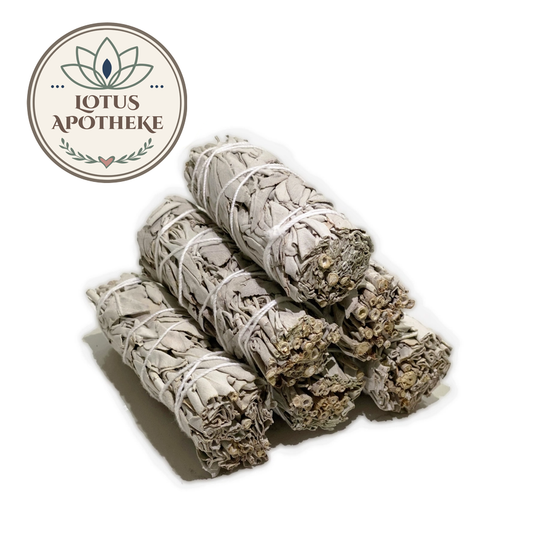 California White Sage Smudge Bundle | 4-Inch Hand-Tied Sage | Lotus Apotheke