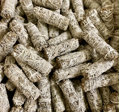 California White Sage Smudge Bundle | 4-Inch Hand-Tied Sage | Lotus Apotheke