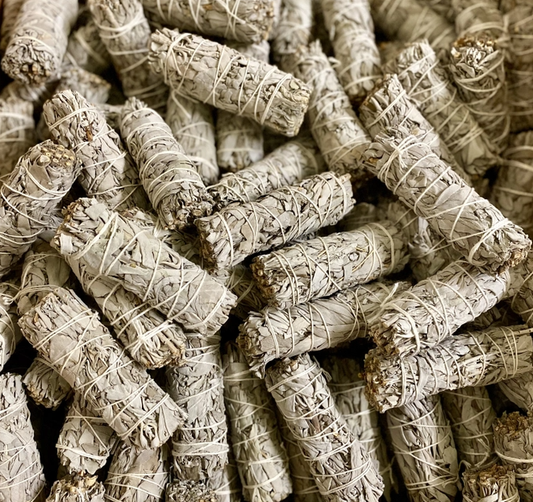 California White Sage Smudge Bundle | 4-Inch Hand-Tied Sage | Lotus Apotheke