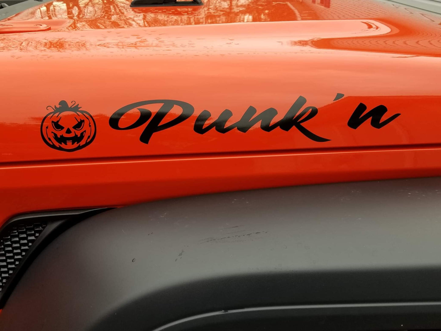 SINGLE Color Hood Name Decals, SET of 2