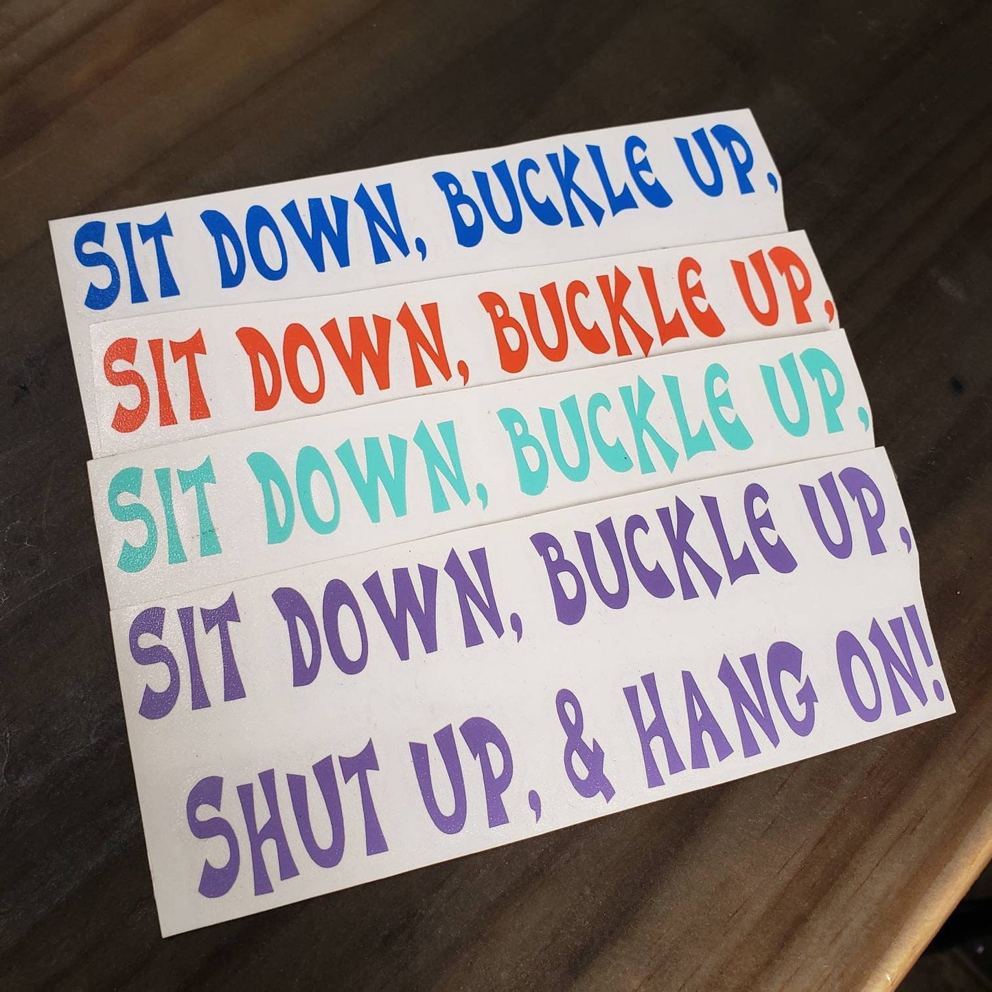 Sit Down, Buckle Up... Decal