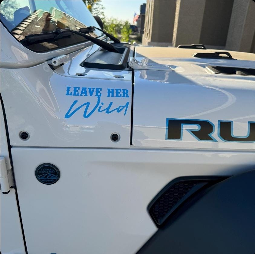 Leave Her Wild Decal