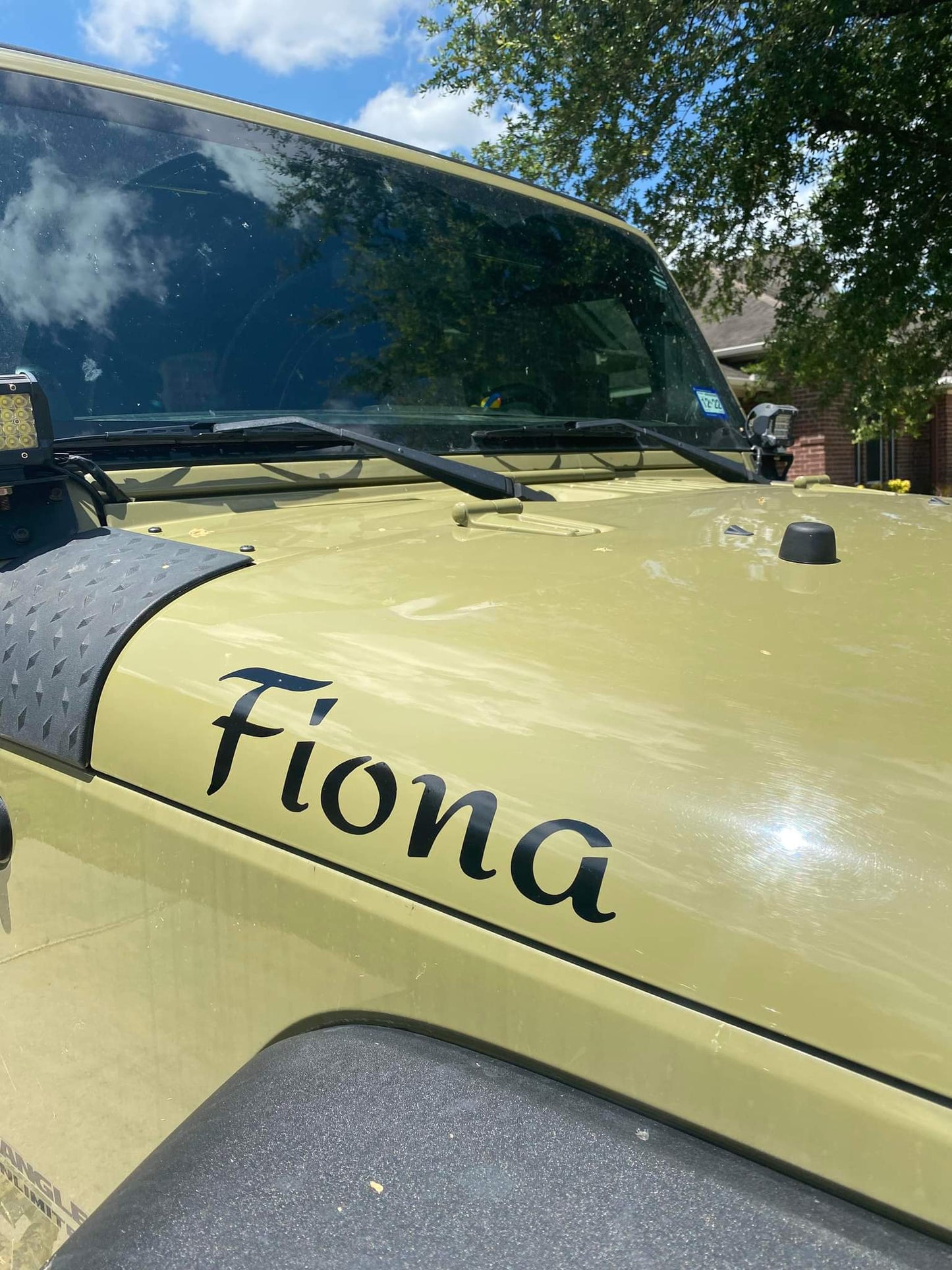 SINGLE Color Hood Name Decals, SET of 2